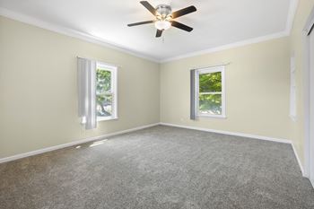 Ceiling fan